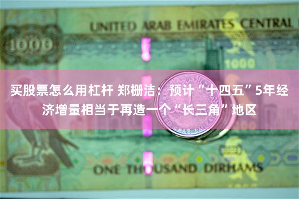 买股票怎么用杠杆 郑栅洁：预计“十四五”5年经济增量相当于再造一个“长三角”地区