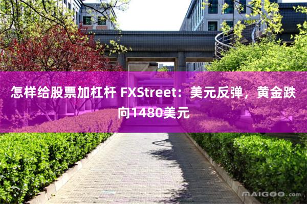怎样给股票加杠杆 FXStreet：美元反弹，黄金跌向1480美元