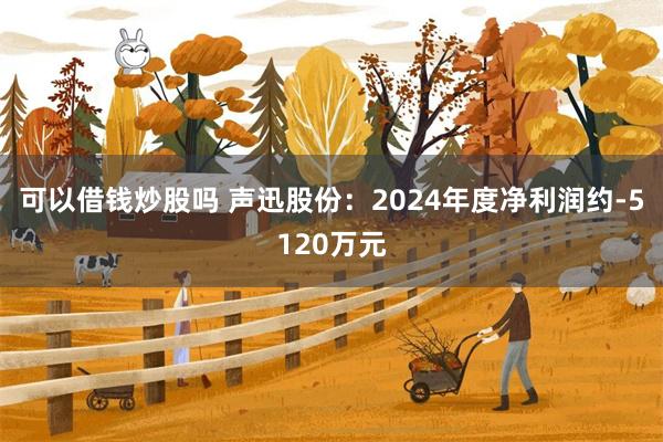 可以借钱炒股吗 声迅股份：2024年度净利润约-5120万元
