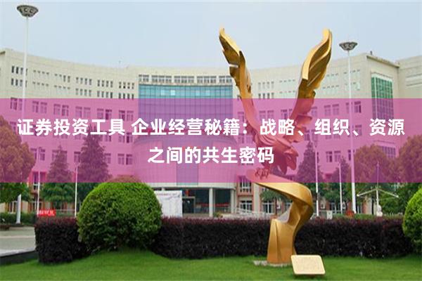 证券投资工具 企业经营秘籍：战略、组织、资源之间的共生密码