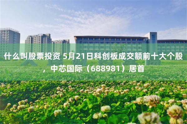 什么叫股票投资 5月21日科创板成交额前十大个股，中芯国际（688981）居首