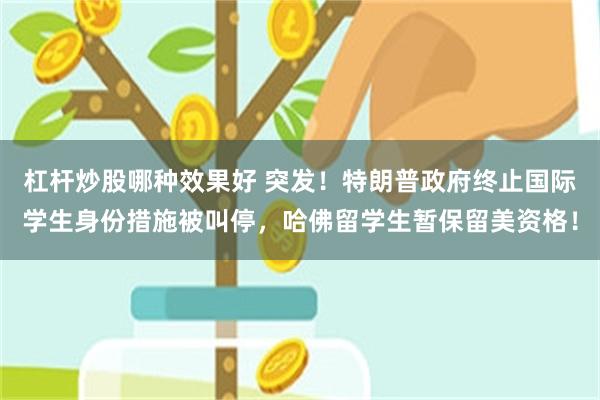 杠杆炒股哪种效果好 突发！特朗普政府终止国际学生身份措施被叫停，哈佛留学生暂保留美资格！
