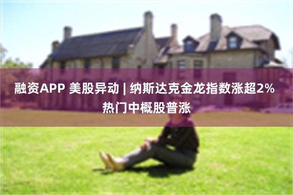 融资APP 美股异动 | 纳斯达克金龙指数涨超2% 热门中概股普涨