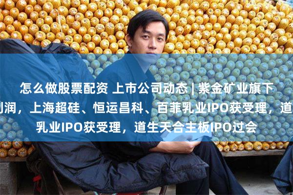 怎么做股票配资 上市公司动态 | 紫金矿业旗下矿井事件将影响净利润，上海超硅、恒运昌科、百菲乳业IPO获受理，道生天合主板IPO过会