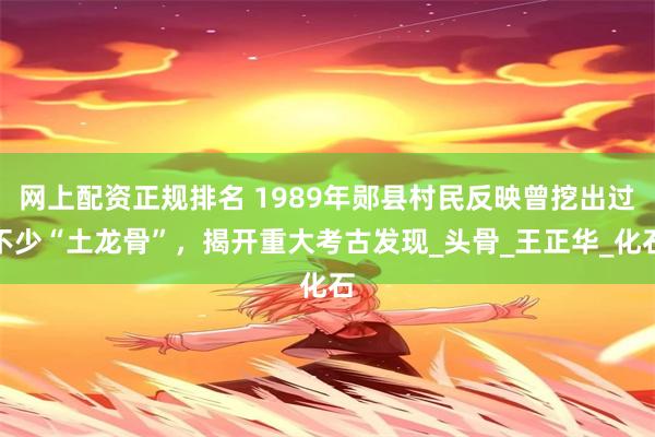 网上配资正规排名 1989年郧县村民反映曾挖出过不少“土龙骨”，揭开重大考古发现_头骨_王正华_化石